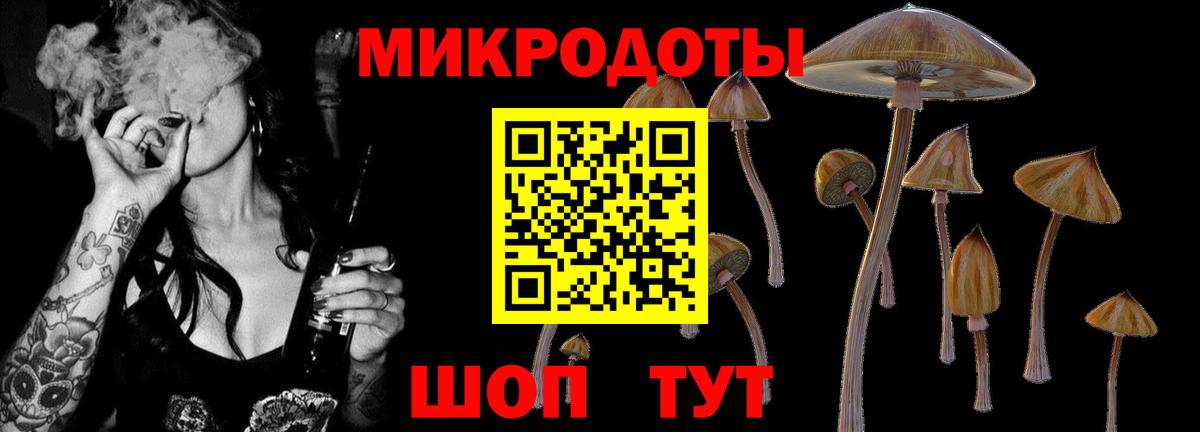 Псилоцибиновые грибы GOLDEN TEACHER  Вход с VPN  Псилоцибиновые грибы мицелий  Новотроицк 